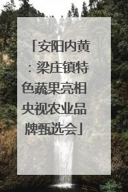 安阳内黄：梁庄镇特色蔬果亮相央视农业品牌甄选会